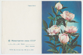СРСР СССР ^/--/^ Цветы телеграмма 1985 Р /--/ 11 ^_^^^ Квіти телеграма 1985 Р /--/ 11 - фото фото фото