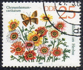 Інші країни Другие страны ^/--/^ НДР 1982 - Осінні квіти  (Г) ^_^^^ ГДР 1982 - Осенние цветы (Г) - фото фото фото
