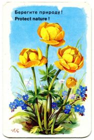 Календарі Календари ^/--/^ Карманный календарь, 1984 г. Аэрофлот. Серия `Берегите природу!` (4) ^_^^^ Кишеньковий календар 1984 р. Аерофлот. Серія "Бережіть природу!" (4) - фото фото фото