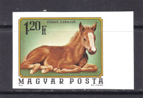 Фауна Фауна ^/--/^ NM Фауна Венгрия   MNH - б/з ^_^^^ NM Фауна Угорщина MNH - б/з - фото фото фото