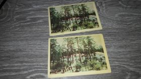СРСР СССР ^/--/^ Открытка СССР Святогорск Г. Навричевського Слов'яногірськ головний корпус санаторію Шаштар ^_^^^ Открытка СССР Святогорск Г. Навричевского Славяногорск главный корпус санатория Шаштар - фото фото фото
