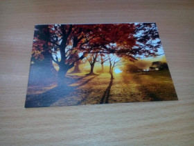 Іноземні Иностранные ^/--/^ Фотооткрытка сада &amp;quot;Wakehurst Place, Sussex&amp;quot; (Англия) ^_^^^ Фотовідкритка саду &amp;quot;Wakehurst Place, Sussex &amp;quot; (Англія) - фото фото фото