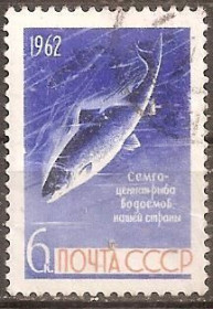 СРСР - СССР - ^/--/^ СССР 1962 Сол.2733 гаш. ^_^^^ СРСР 1962 Сол.2733 гаш. - фото фото фото