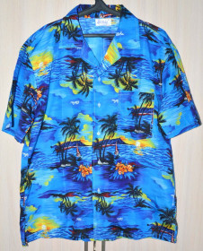 Сорочки Рубашки ^/--/^ WICKED COSTUMES  сорочка чоловіча  original XL сток K /--/ 50-48 ^_^^^ WICKED COSTUMES рубашка мужская original XL сток K /--/ 50-48 - фото фото фото