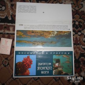 СРСР СССР ^/--/^ Обитатели Японского  моря.Серия  Экскурсия  в  природу  1977 г. ^_^^^ Мешканці Японського моря.Серія Екскурсія в природу 1977 - фото фото фото