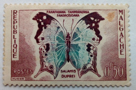 Мадагаскар Мадагаскар ^/--/^ Мадагаскар 1960 Бабочка, 0,50 /--/ С, MLH - фото фото фото