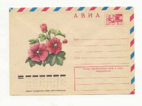 СРСР СССР ^/--/^ СССР 1977  Конверт  Цветы Пикунов 3 ^_^^^ 1977 — Конверт Квіти Пікунов 3 - фото фото фото