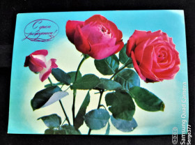 СРСР СССР ^/--/^ PK 1977 г. Почтовая карточка СССР С днем рождения! ^_^^^ PK 1977 Поштова картка СРСР З днем народження! - фото фото фото