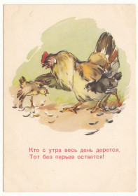 СРСР СССР ^/--/^ Кто с утра весь день дерется ... 1960 Алексеев Строганова Р /--/ 7 ^_^^^ Хто з ранку весь день дереться... 1960 Алексєєв Строганова Р /--/ 7 - фото фото фото