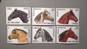 Фауна Фауна ^/--/^ Румыния Фауна 1970 ^_^^^ Румунія Фауна 1970 - фото фото фото