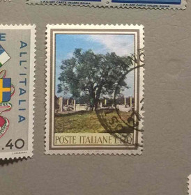Флора Флора ^/--/^ Италия Флора 1966 ^_^^^ Італія Флора 1966 - фото фото фото