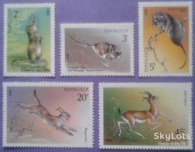 СРСР - СССР - ^/--/^ СССР 1985 фауна Средней Азии СК 5589-5593 MNH ^_^^^ СРСР 1985 фауна Середньої Азії СК 5589-5593 MNH - фото фото фото