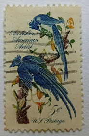 Північна Америка Северная Америка ^/--/^ США 1963 Сойки, птицы, гашеная (II) ^_^^^ США 1963 Сойки, птахи, гашена (II) - фото фото фото