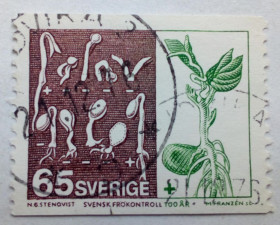 Скандинавія Скандинавия ^/--/^ Швеция 1976 Сельское хозяйство, гашеная ^_^^^ Швеція 1976 Сільське господарство, гашена - фото фото фото