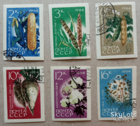 СРСР - СССР - ^/--/^ СССР 1964 флора сельскохозяйственные культуры СК 2964-2965, 2967-2970 ^_^^^ СРСР 1964 флора сільськогосподарські культури СК 2964-2965, 2967-2970 - фото фото фото