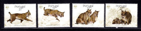 Фауна Фауна ^/--/^ NM Фауна Португалия 1988 г  MNH - WWF - рысь ^_^^^ NM Фауна Португалія 1988 рись - фото фото фото