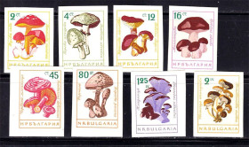 Флора Флора ^/--/^ Флора . Болгаоия 1961 г MNH - грибы - б/з серия ^_^^^ Флора . Болгаоія 1961 р MNH - гриби - б/з серія - фото фото фото