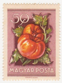 Угорщина Венгрия ^/--/^ Венгрия 1954 г. №  1411 ** ^_^^^ Угорщина 1954 No 1411 ** - фото фото фото