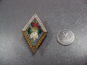 Відзнаки Знаки отличий ^/--/^ знак ромб 10 лет государственная лесная охрана ссср  №1092 ^_^^^ знак ромб 10 років державна лісова охорона СРСР No 1092 - фото фото фото
