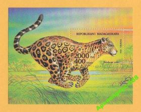 Фауна Фауна ^/--/^ МАДАГАСКАР 1994 Животные Кошки Леопард БЛОК MNH** ^_^^^ МАДАГАСКАР 1994 Тварини Кішки Леопард БЛОК MNH** - фото фото фото