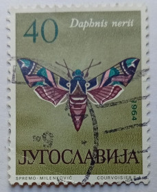 Балканський півострів Балканский полуостров ^/--/^ Югославия 1964 Бабочка, гашеная ^_^^^ Югославія 1964 Бабочка, гашена - фото фото фото