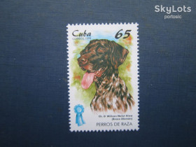 Фауна Фауна ^/--/^ Марка Куба 1998 фауна собака німецький бракк MNH КЦ 1.75 $ ^_^^^ Марка Куба 1998 фауна собака немецкий бракк MNH КЦ 1.75 $ - фото фото фото