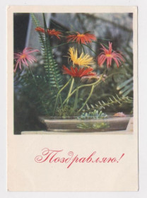 СРСР СССР ^/--/^ ПОЗДРАВЛЯЮ  1964 г.  ШТЕРЕНБЕРГ  чистая  ^_^^^ ВІТАЮ 1964 ШТЕРЕНБЕРГ чиста - фото фото фото