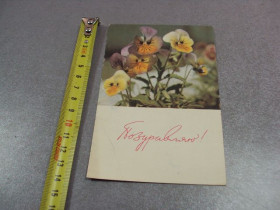 СРСР СССР ^/--/^ открытка поздравляю анютины глазки 1965 шраде №10933 ^_^^^ Вітаю анютини очки 1965 шраді No /--/ 10933 - фото фото фото