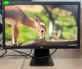HP HP ^/--/^ Монітор 23&amp;quot; HP EliteDisplay E /--/ 231 1920*1080 TN+film- Б/В ^_^^^ Монитор 23&amp;quot; HP EliteDisplay E /--/ 231 1920*1080 TN+film-Б/В - фото фото фото