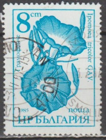 Флора Флора ^/--/^ Болгария Болгарія 1986 флора цветы ^_^^^ Болгария Болгария 1986 флора цветы - фото фото фото
