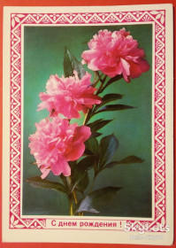 СРСР СССР ^/--/^ СССР 1976 флора цветы ХМПК 02 ^_^^^ СРСР 1976 флора квіти ХМПК 02 - фото фото фото