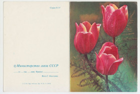 СРСР СССР ^/--/^ Цветы телеграмма 1983 Р /--/ 11 ^_^^^ Квіти телеграма 1983 Р /--/ 11 - фото фото фото