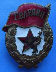 Відзнаки Знаки отличий ^/--/^ Гвардия военный тип ^_^^^ Гвардія військовий тип - фото фото фото