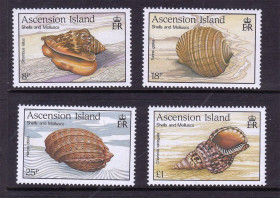 Фауна Фауна ^/--/^ Вознесения о-в 1989 г  MNH - ракушки ^_^^^ Вознесіння о-в 1989 р MNH - черепашки - фото фото фото