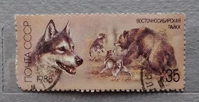 Фауна Фауна ^/--/^ СССР 1988 г - Отечественные породы охотничьих собак. Восточносибирская лайка, гаш ^_^^^ СРСР 1988 — Вітчизняні породи мисливських собак. Східносибірська лайка, гаш - фото фото фото