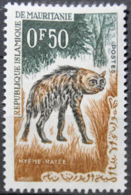 Інше Другое ^/--/^ Мавритания Фауна Полосатая гиена 1963 ^_^^^ Мавританія Фауна Смугаста гієна 1963 - фото фото фото
