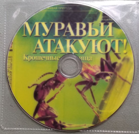 Наукове / Документальне кіно Научное / Документальное кино ^/--/^ «Муравьи атакуют»  (50 мин) ^_^^^ «Мурахи атакують» (50 хв) - фото фото фото