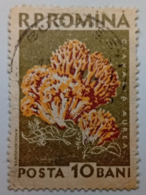 Румунія Румыния ^/--/^ Румыния 1958 Грибы, 10 /--/ В, гашеная ^_^^^ Румунія 1958 Гриби, 10 /--/ В, гашена - фото фото фото