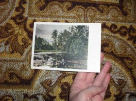 СРСР СССР ^/--/^ Заросший пруд  Худ.В.Серов 1953 /--/ г. ^_^^^ Зарослий ставок Худ.В.Сєров 1953 /--/ р. - фото фото фото