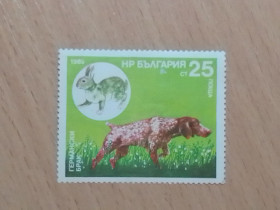 Балканський півострів Балканский полуостров ^/--/^ Распродажа, Болгария ^_^^^ Розпродаж, Болгарія - фото фото фото