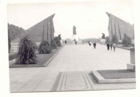 СРСР СССР ^/--/^ 1945 Германия  Война Победа  2 Старое фото ^_^^^ 1945 Німеччина Війна Перемога 2 Старе фото - фото фото фото