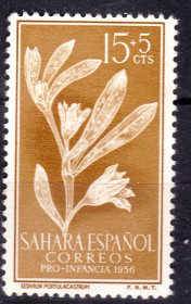 Флора Флора ^/--/^ Флора .  Испанская Сахара   1956 г  г  MNH   - цветы ^_^^^ Іспанська Сахара 1956 р MNH - квіти - фото фото фото