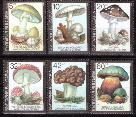 Флора Флора ^/--/^ Болгария. Грибы   (серия)** 1990 г. ^_^^^ Болгарія. Гриби (серія) 1990 - фото фото фото