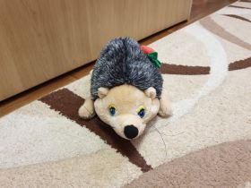 М'які іграшки Мягкие игрушки ^/--/^ Мягкая игрушка ежик ^_^^^ М'яка іграшка їжачок - фото фото фото