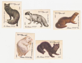 СРСР - СССР - ^/--/^ СССР 1980 г. № 4765‑4769 ** серия ^_^^^ СРСР 1980 р. No 4765-4769 ** серія - фото фото фото