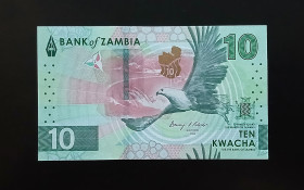 Замбія Замбия ^/--/^ Замбія 10 квача 2024 рік UNC - без обігу ^_^^^ Замбия 10 квача 2024 год UNC - без обращения - фото фото фото