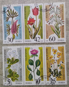 Флора Флора ^/--/^ Болгария 1989 г - исчезающие растения, 7 шт  (см.фото) ^_^^^ Болгарія 1989 р - зникаючі рослини, 7 шт (див. фото) - фото фото фото
