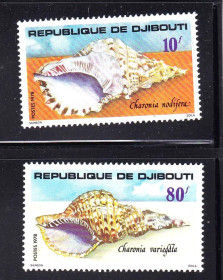 Мистецтво Искусство ^/--/^ Фауна .  Джибути 1998 г  MNH - ракушки ^_^^^ Джибуті 1998 MNH - фото фото фото