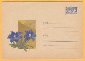 СРСР СССР ^/--/^ ХМК 03.12.69 Флора Цветы Цветок Худ. В. Колганов ^_^^^ ХМК 03.12.69 Флора Квітка Худ. В. Колганов - фото фото фото