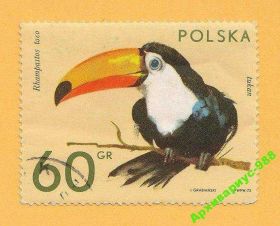 Фауна Фауна ^/--/^ ФАУНА 1972 ПОЛЬША Животные ПТИЦЫ Природа Гаш. 1 /--/ м. ^_^^^ Фауна 1972 Польща Тварини Птахи Природа Гаш. 1 /--/ м. - фото фото фото